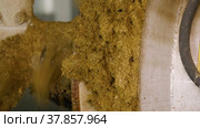 Животноводческая ферма. Переработка навоза, разделение на фракции. A livestock farm. Processing of manure, separation into fractions. Стоковое видео, видеограф Евгений Романов / Фотобанк Лори
