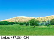 Natural landscape with a huge sand dune Sarykum in the background (2022 год). Редакционное фото, фотограф Евгений Харитонов / Фотобанк Лори