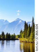 Beautiful summer landscape with green forest at the riverside and mountain snowy peaks on sunny June day. Siberia, Baikal region, Eastern Sayan Mountains,  Buryatia, Tunka foothill valley, Irkut River. Стоковое фото, фотограф Виктория Катьянова / Фотобанк Лори