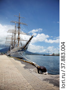 Четырехмачтовый барк Nippon Maru в порту города Кагосима (Япония) (2010 год). Редакционное фото, фотограф Александр Гаценко / Фотобанк Лори