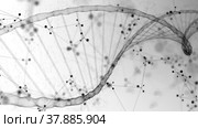 Dna background with gene helix and genome spiral chain on the white copy space. Стоковое видео, видеограф Олег Грач / Фотобанк Лори