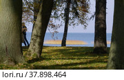Петергоф осенью, Нижний парк. Вид из парка на Балтийское море. Peterhof in autumn, Nizhniy Park. View from the park to the Baltic Sea. (2021 год). Редакционное видео, видеограф Евгений Романов / Фотобанк Лори