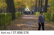 Петергоф, Нижний парк осенью. Марлинская аллея. Peterhof, Nizhniy Park in autumn. Marlin Alley. (2021 год). Редакционное видео, видеограф Евгений Романов / Фотобанк Лори
