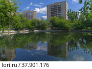 Антроповский пруд в Москве. Солнечный день в июне (2022 год). Стоковое фото, фотограф Сергей Рыбин / Фотобанк Лори