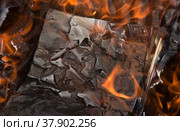 Book burning in fire. Стоковое фото, фотограф Юрий Бизгаймер / Фотобанк Лори