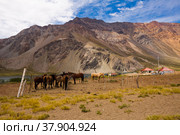 Andes near Las Lenas. Стоковое фото, фотограф Яков Филимонов / Фотобанк Лори