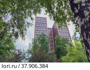 Новостройка в живописном зеленом месте. Экологичный район. Санкт-Петербург, Россия (2022 год). Стоковое фото, фотограф Grigory_Gez / Фотобанк Лори