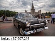 Автомобиль Волга на площадке фестиваля Ретрорейс в День московского транспорта на Воробьевых горах в городе Москве, Россия (2022 год). Редакционное фото, фотограф Николай Винокуров / Фотобанк Лори