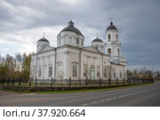 Собор Ильи Пророка пасмурным вечером. Сольцы, Новгородская область. Россия (2022 год). Стоковое фото, фотограф Анна Карасева / Фотобанк Лори