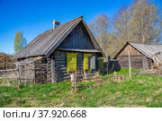 Заброшенные деревянные дома. Псковская область, Россия (2022 год). Стоковое фото, фотограф Анна Карасева / Фотобанк Лори