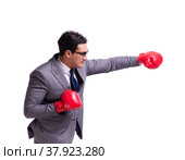 Businessman boxing isolated on the white background. Стоковое фото, фотограф Elnur / Фотобанк Лори