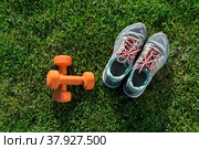 Sports shoes sneakers and pair of orange dumbbells on grass. Кроссовки и гантели на газоне. Стоковое фото, фотограф Якимова Елена / Фотобанк Лори