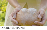 Homemade bread in female hands. Стоковое видео, видеограф Татьяна Чудакова / Фотобанк Лори