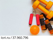 Bright orange equipment for physical exercise: dumbbells, chest expanders, hand flexor and massage ball on light background. Active healthy lifestyle. Top view, flat lay. Space for text on left. Стоковое фото, фотограф Виктория Катьянова / Фотобанк Лори