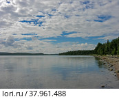 Берег Белого моря, остров Горелый, Керетская губа, Кандалакшкий залив, Карелия. Солнечный день в июле. Стоковое фото, фотограф Сергей Рыбин / Фотобанк Лори