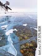 Lake Baikal in the winter season. The coast near the village of Bolshoe Goloustnoye. Through the thickness of transparent ice, stones are visible at the bottom. Beautiful winter landscape. Стоковое фото, фотограф Виктория Катьянова / Фотобанк Лори