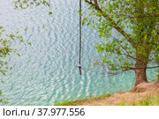 Пейзаж с тарзанкой на дереве у озера. Стоковое фото, фотограф V.Ivantsov / Фотобанк Лори