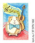 Funny guinea pig musician with a squeak is drawn with colored pencils. It's perfect for postcards, posters, banners, invitations, greeting cards, prints. Isolated on white background. Drawn by hand. Стоковая иллюстрация, иллюстратор Андрей Золотарев / Фотобанк Лори
