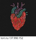 Heart. Стоковая иллюстрация, иллюстратор Диана Васильева / Фотобанк Лори