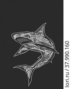 Shark. Стоковая иллюстрация, иллюстратор Диана Васильева / Фотобанк Лори