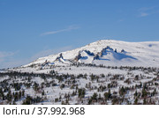 Скалы-останцы в Шерегеше. Стоковое фото, фотограф Свитич Олег / Фотобанк Лори