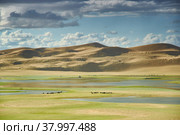 sand dunes of lake Durgen Nuur (2019 год). Стоковое фото, фотограф Александр Fanfo / Фотобанк Лори