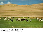 Sands Mongol Els (2019 год). Стоковое фото, фотограф Александр Fanfo / Фотобанк Лори
