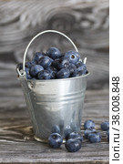 Ripe blueberries in a metal bucket. On pine boards. Several berries are scattered around. Close-up. Стоковое фото, фотограф Vadzim Yakubovich / Фотобанк Лори