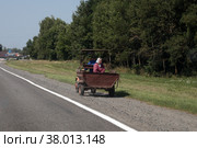 Гомель гужевая повозка на шоссе (2022 год). Редакционное фото, фотограф Дмитрий Неумоин / Фотобанк Лори