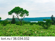 Natural landscape of Kunashir island, view of the Golovnin volcano caldera with hot lakes. Стоковое фото, фотограф Евгений Харитонов / Фотобанк Лори