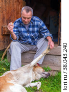 Russia Polevskoy August 2021: An elderly man relaxes near a Russian bathhouse with his dog and smokes a cigarette. Редакционное фото, фотограф Акиньшин Владимир / Фотобанк Лори
