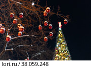 Новый год. Стоковое фото, фотограф Олеся Суббота / Фотобанк Лори