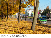 Осенние клены на Заневском проспекте. Санкт-Петербург (2018 год). Редакционное фото, фотограф Александр Щепин / Фотобанк Лори