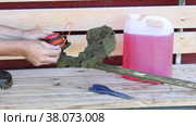 Adjustment of string trimmer for destruction of weeds, installation of spool with line. Стоковое видео, видеограф Владимир Григорьев / Фотобанк Лори