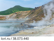 Hot mineralized lake with thermal spring and smoking fumaroles in the caldera of the Golovnin volcano on the island of Kunashir. Стоковое фото, фотограф Евгений Харитонов / Фотобанк Лори