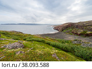 Summer tundra. Rocky coastline of Barents Sea near Teriberka. Scenery of Russian North. Kola Peninsula, Murmansk Oblast, Russia. Стоковое фото, фотограф Константин Лабунский / Фотобанк Лори