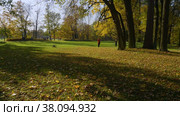 Петергоф, парк Александрия осенью. Люди прогуливаются по парку. Peterhof, Alexandria Park in autumn. People are walking in the park. (2021 год). Редакционное видео, видеограф Евгений Романов / Фотобанк Лори