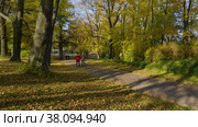 Петергоф, парк Александрия осенью. Люди прогуливаются по парку. Peterhof, Alexandria Park in autumn. People are walking in the park. (2021 год). Редакционное видео, видеограф Евгений Романов / Фотобанк Лори