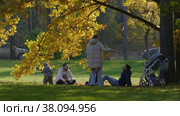 Петергоф, парк Александрия осенью. Люди прогуливаются по парку. Peterhof, Alexandria Park in autumn. People are walking in the park. (2021 год). Редакционное видео, видеограф Евгений Романов / Фотобанк Лори