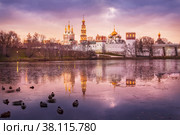 Утки в пруду, Новодевичий монастырь, Москва (2013 год). Стоковое фото, фотограф Baturina Yuliya / Фотобанк Лори