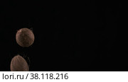 Flying up coconuts on the black background. Стоковое видео, видеограф Aleksey Kidisyuk / Фотобанк Лори