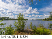 Landscape lake Haukivesi. Beautiful clouds. In the foreground is a tree. Стоковое фото, фотограф Михаил Аккуратoв / Фотобанк Лори