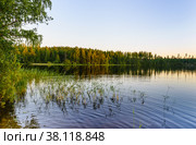 Evening view of the lake in calm weather. In the foreground there is grass. Стоковое фото, фотограф Михаил Аккуратoв / Фотобанк Лори