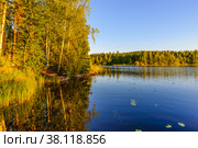 Evening landscape on the lake, the trees are reflected in the water. Horizontal shot. Стоковое фото, фотограф Михаил Аккуратoв / Фотобанк Лори