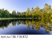 Beaitiful evening landscape of Lake Haukivesi during sunset. Specular reflection in the water. Стоковое фото, фотограф Михаил Аккуратoв / Фотобанк Лори