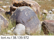 Cholpon Ata petroglyphs, Issyk Kul, Kyrgyzstan (2022 год). Стоковое фото, фотограф Знаменский Олег / Фотобанк Лори