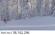 Skitour in Siberia. A man riding down the hill in a snowy forest. Стоковое видео, видеограф Chudakov_Ivan / Фотобанк Лори