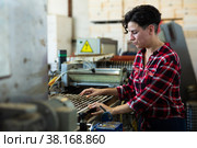 Skilled farmer woman working with automatic filling and seeding line for growing containerized seedlings of decorative plants in greenhouse. Стоковое фото, фотограф Яков Филимонов / Фотобанк Лори