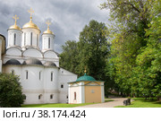 Спасо-Преображенский монастырь (Спасо-Ярославский монастырь). Часовня Трифона, епископа Ростовского. Ярославль. Золотое кольцо России (2020 год). Стоковое фото, фотограф Pukhov K / Фотобанк Лори