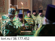 Епископ Балашихинский и Орехово-Зуевский Николай служит литургию в день нахождения мощей преподобного Сергия Радонежского в Савинском храме (2022 год). Редакционное фото, фотограф Дмитрий Неумоин / Фотобанк Лори